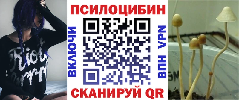 KRAKEN   Красный Кут  Галлюциногенные грибы Psilocybe 